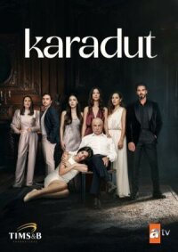 Постер к фильму Чёрная шелковица смотреть онлайн на киного