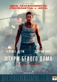 Постер к фильму Штурм Белого дома смотреть онлайн на киного