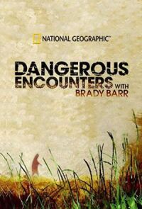 Постер к фильму National Geographic. Опасные встречи смотреть онлайн на киного