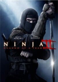 Постер к фильму Ниндзя 2 (2013) смотреть онлайн на киного