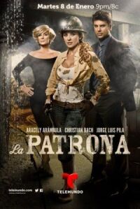 Постер к фильму Госпожа (2013) смотреть онлайн на киного