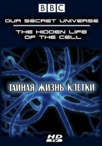 Постер к фильму Внутренняя вселенная: Тайная жизнь клетки смотреть онлайн на киного