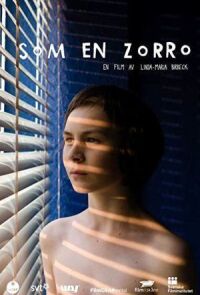 Постер к фильму Такой, как Зорро смотреть онлайн на киного