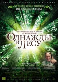 Постер к фильму Однажды в лесу (2013) смотреть онлайн на киного