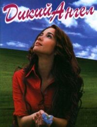 Постер к фильму Дикий ангел (1998) смотреть онлайн на киного