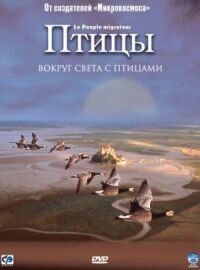 Постер к фильму Птицы (2001) смотреть онлайн на киного