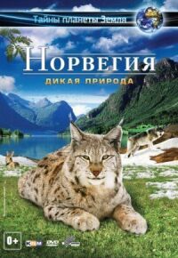 Постер к фильму Норвегия 3D: Дикая природа смотреть онлайн на киного