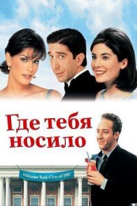 Постер к фильму Где тебя носило смотреть онлайн на киного