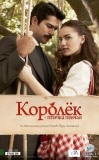 Постер к фильму Королёк – птичка певчая смотреть онлайн на киного