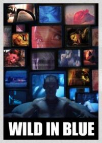 Постер к фильму Зверство на голубом экране (2015) смотреть онлайн на киного