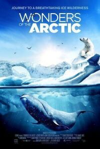 Постер к фильму Чудеса Арктики смотреть онлайн на киного