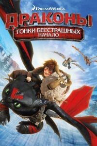 Постер к фильму Драконы: Гонки бесстрашных. Начало (2014) смотреть онлайн на киного