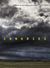 Постер к фильму Канарейки смотреть онлайн на киного