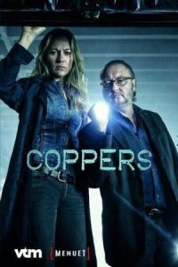 Постер к фильму Грубое правосудие (2016) смотреть онлайн на киного