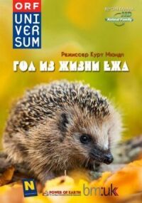 Постер к фильму Год из жизни ежа смотреть онлайн на киного