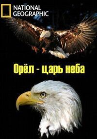 Постер к фильму Орёл — царь неба смотреть онлайн на киного