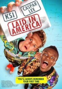 Постер к фильму Заложники в Америке (2016) смотреть онлайн на киного