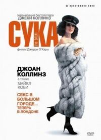 Постер к фильму Сука (1979) смотреть онлайн на киного