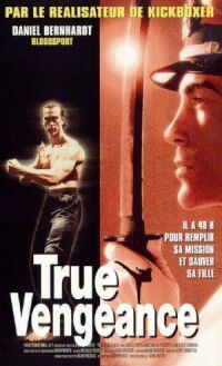 Постер к фильму Один против якудза (1997) смотреть онлайн на киного