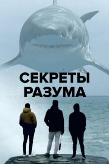 Секреты разума