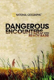 National Geographic. Опасные встречи